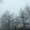 銀河鉄道の鈴木大治郎君〜カナダへ永住 - yoshio journal